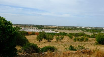 Terrain à Santa Bárbara de Nexe de 19 040 m²