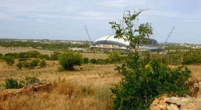 Terrain à Santa Bárbara de Nexe de 19 040 m²