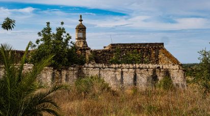Terrain à Santa Bárbara de Nexe de 19 040 m²