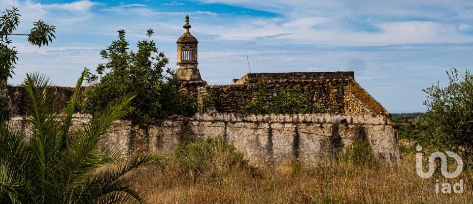 Terrain à Santa Bárbara de Nexe de 19 040 m²