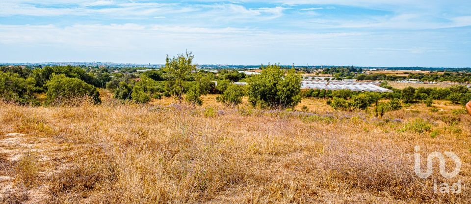 Terrain à Santa Bárbara de Nexe de 19 040 m²