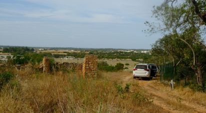 Terrain à Santa Bárbara de Nexe de 19 040 m²