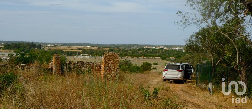 Terrain à Santa Bárbara de Nexe de 19 040 m²