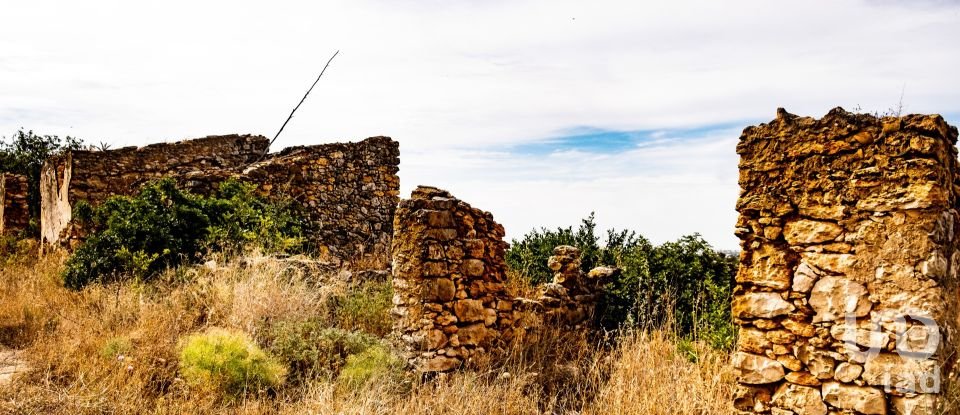Terrain à Santa Bárbara de Nexe de 19 040 m²