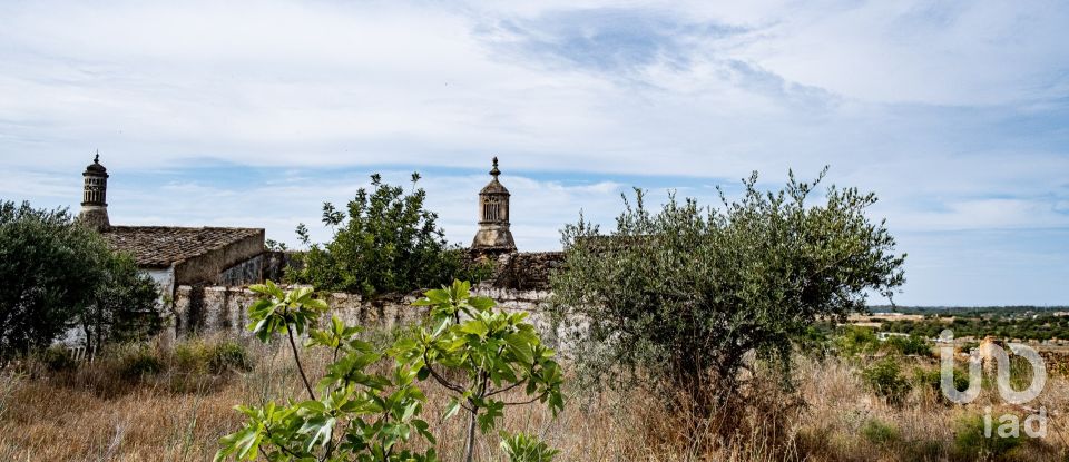 Terrain à Santa Bárbara de Nexe de 19 040 m²