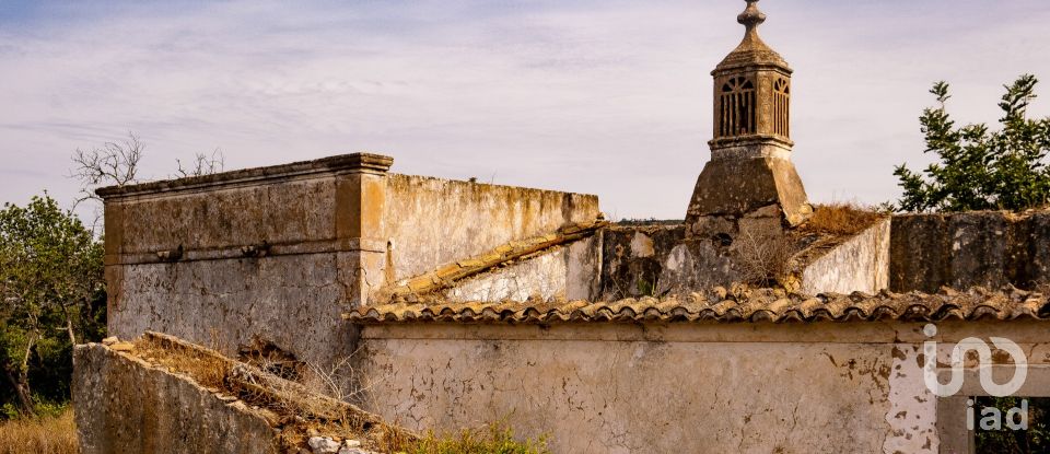 Terrain à Santa Bárbara de Nexe de 19 040 m²