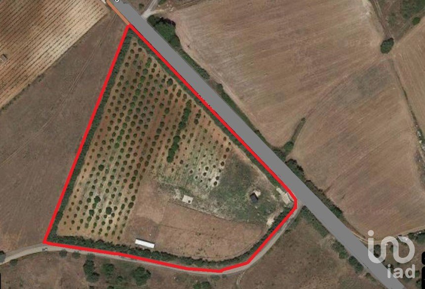 Land in Aveiras de Baixo of 16,320 m²
