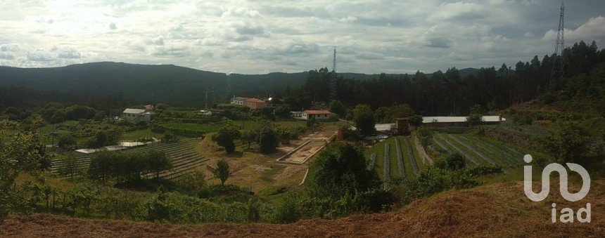 Farm T2 in Sever do vouga of 11,000 m²