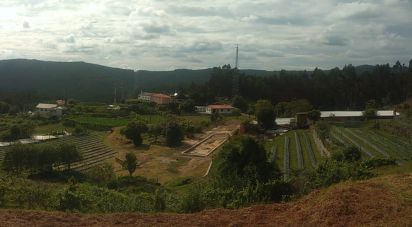 Ferme T2 à Sever do vouga de 11 000 m²