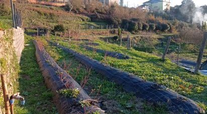 Ferme T2 à Sever do vouga de 11 000 m²