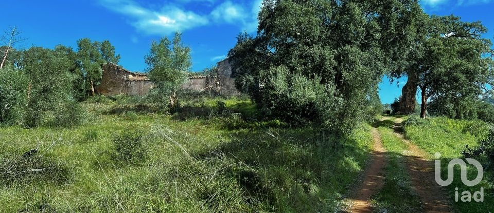 Building land in Serra e Junceira of 372,860 m²