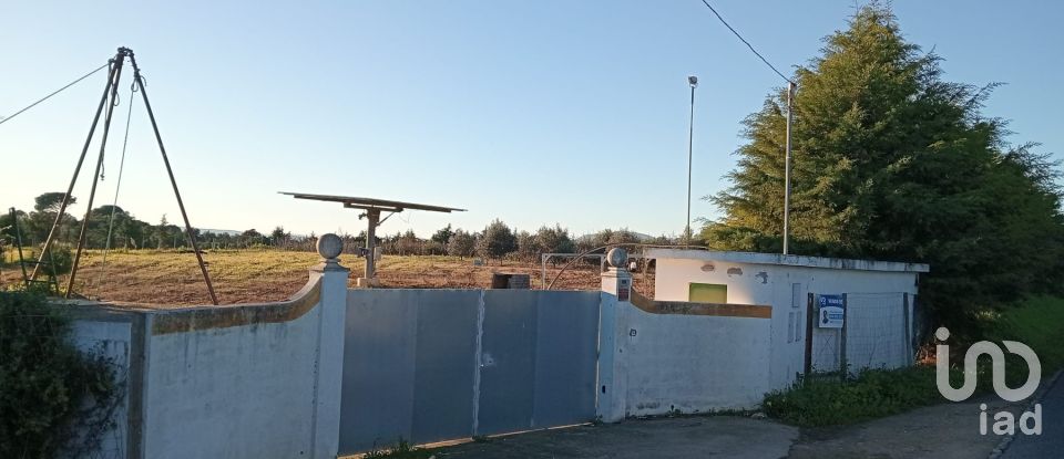 Land in Aveiras de Baixo of 16,320 m²