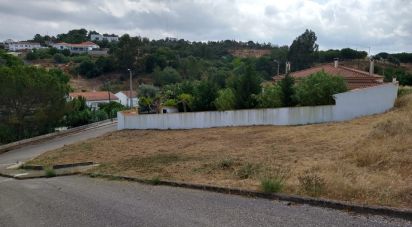 Terreno para construção em Chamusca e Pinheiro Grande de 440 m²