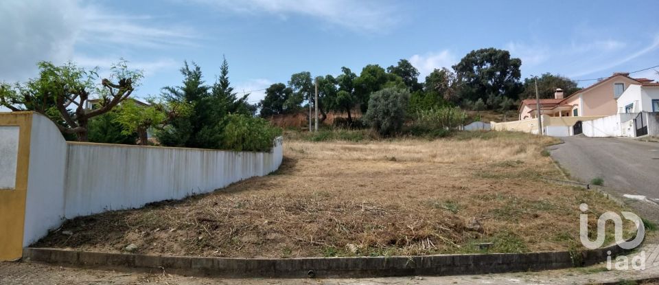 Building plot in Chamusca e Pinheiro Grande of 440 m²