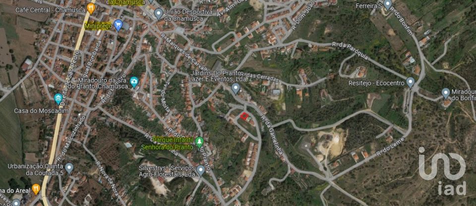 Building plot in Chamusca e Pinheiro Grande of 440 m²