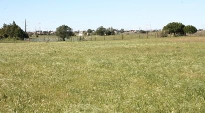 Terrain à bâtir à Palmela de 8 957 m²