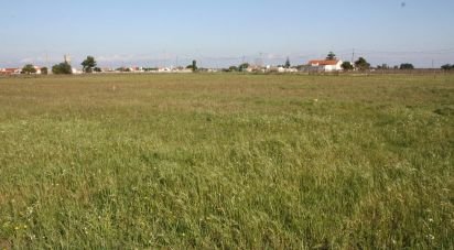 Terrain à bâtir à Palmela de 8 957 m²