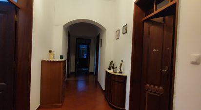 Casa tradicional T4 em Vidigueira de 213 m²