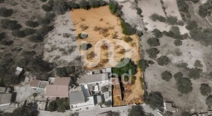 Terreno para construção em Loulé (São Clemente) de 4 700 m²