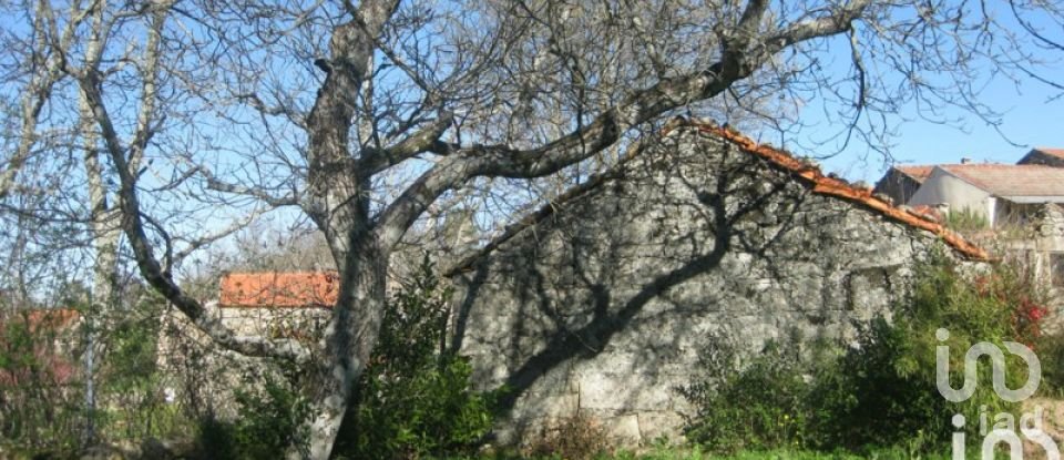 Casa de aldeia T1 em Pousafoles do Bispo, Pena Lobo e Lomba de 378 m²