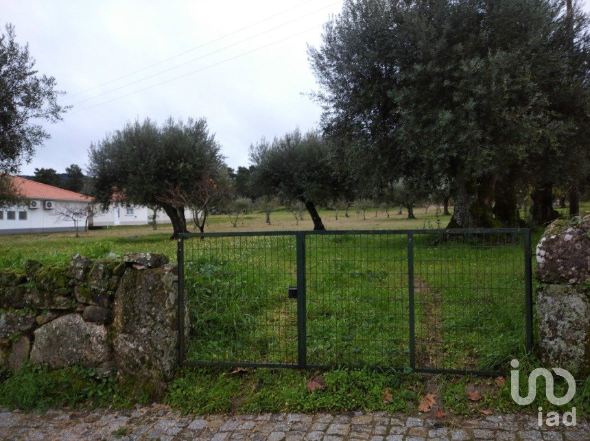 Terrain à Açores e Velosa de 11 217 m²