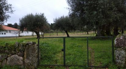 Terrain à Açores e Velosa de 11 217 m²