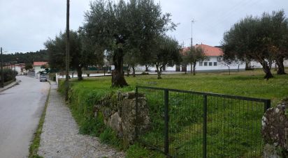 Terrain à Açores e Velosa de 11 217 m²