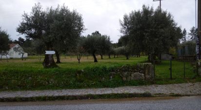 Terrain à Açores e Velosa de 11 217 m²