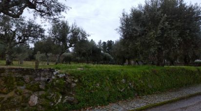 Terrain à Açores e Velosa de 11 217 m²