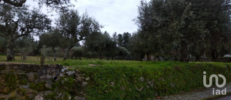 Terrain à Açores e Velosa de 11 217 m²