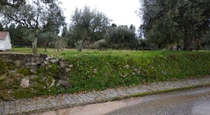 Terrain à Açores e Velosa de 11 217 m²