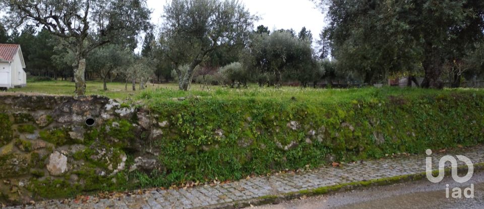 Terrain à Açores e Velosa de 11 217 m²