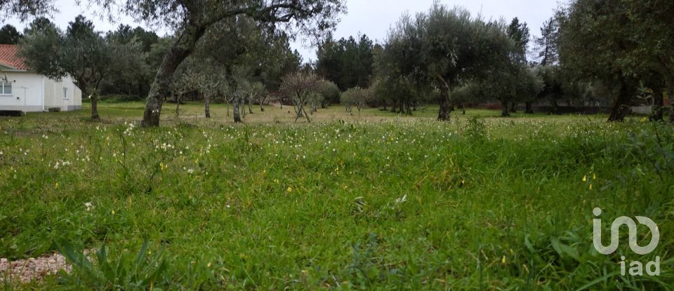 Terrain à Açores e Velosa de 11 217 m²