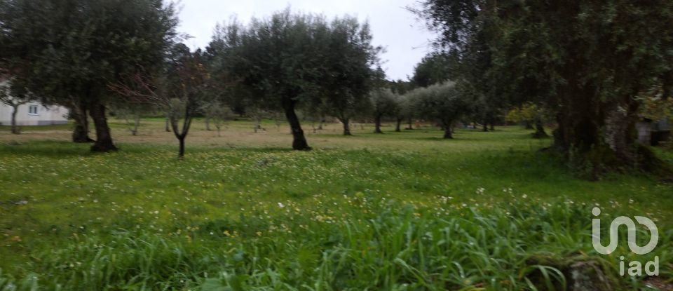 Terrain à Açores e Velosa de 11 217 m²