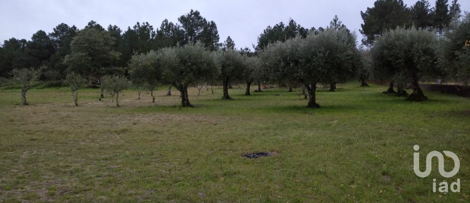 Terrain à Açores e Velosa de 11 217 m²