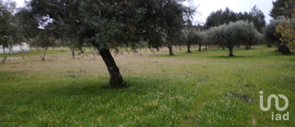 Terrain à Açores e Velosa de 11 217 m²