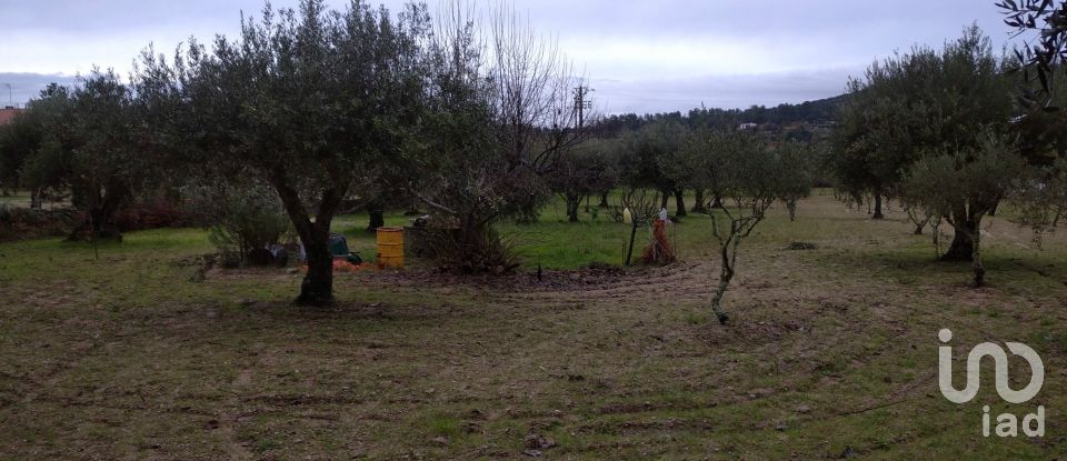 Terrain à Açores e Velosa de 11 217 m²