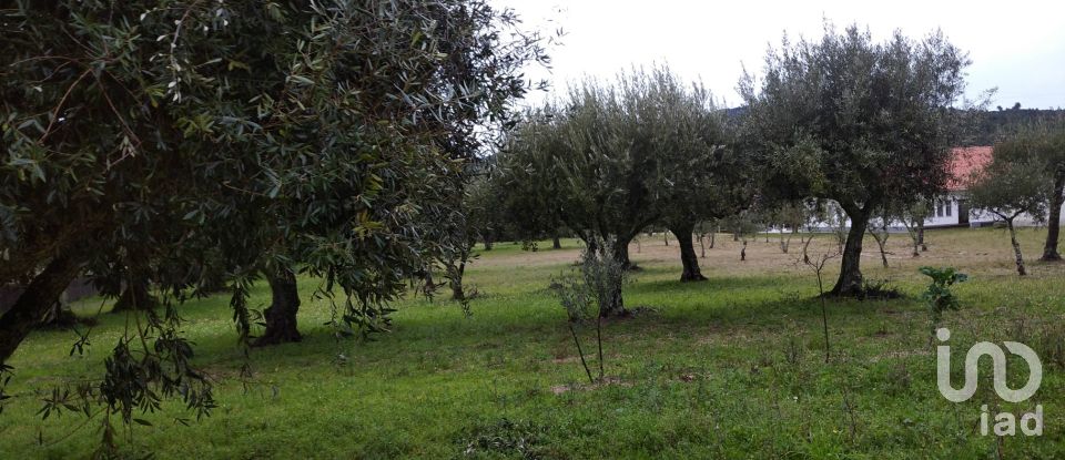 Terrain à Açores e Velosa de 11 217 m²