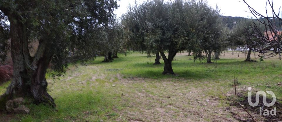 Terrain à Açores e Velosa de 11 217 m²