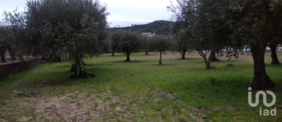 Terrain à Açores e Velosa de 11 217 m²