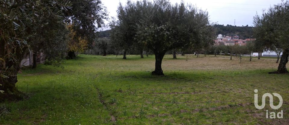 Terrain à Açores e Velosa de 11 217 m²