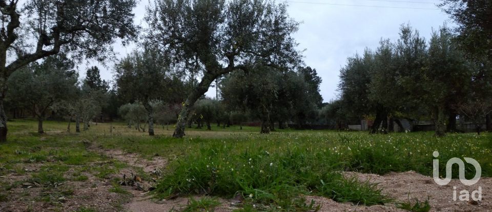 Terrain à Açores e Velosa de 11 217 m²