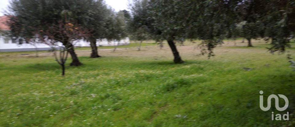 Terrain à Açores e Velosa de 11 217 m²