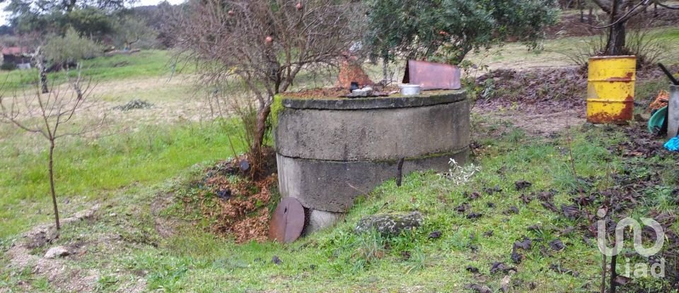 Terrain à Açores e Velosa de 11 217 m²