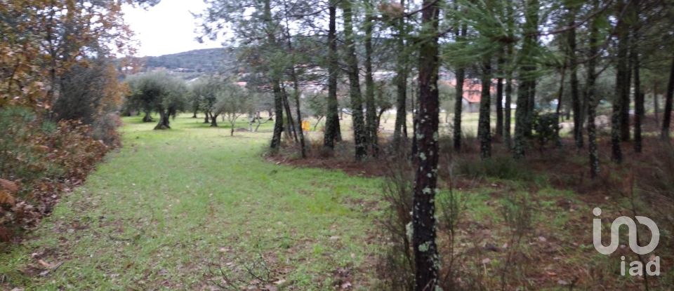 Terrain à Açores e Velosa de 11 217 m²