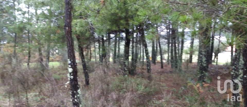 Terrain à Açores e Velosa de 11 217 m²