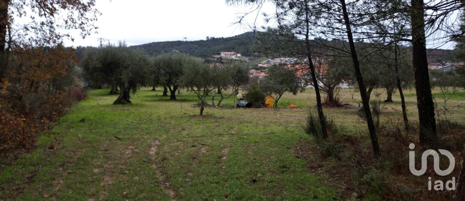 Terrain à Açores e Velosa de 11 217 m²