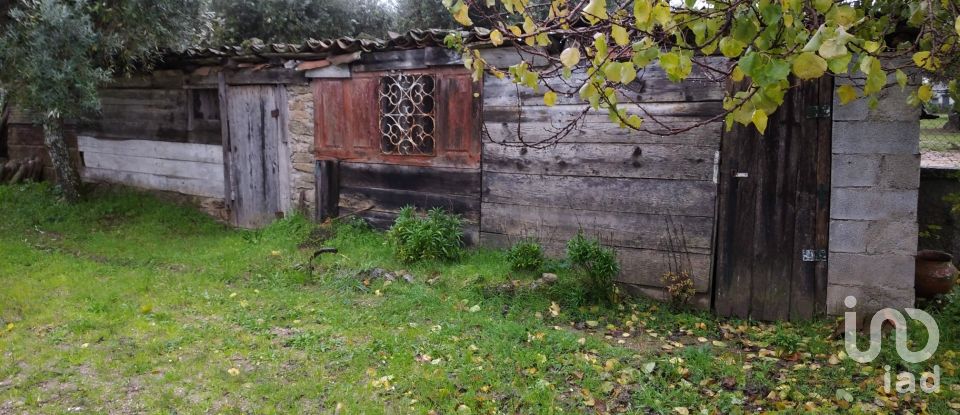 Terrain à Açores e Velosa de 11 217 m²