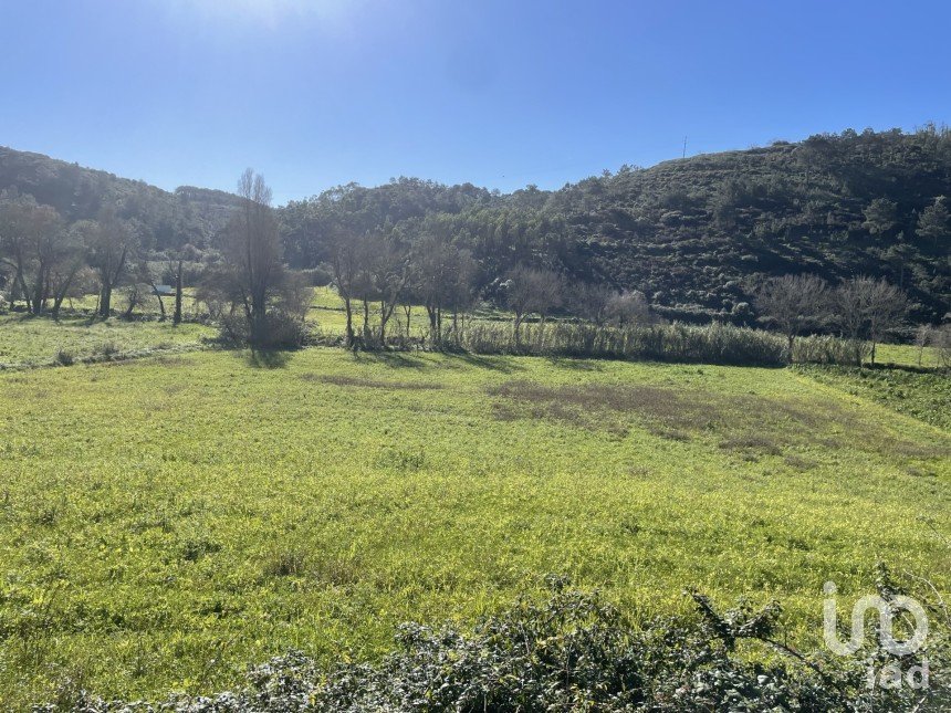 Terreno em Santo Isidoro de 9 062 m²