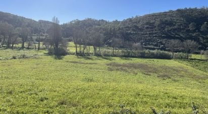 Terrain à Santo Isidoro de 9 062 m²